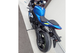 SUZUKI GSX-R1000R ABS 2019 DM11G