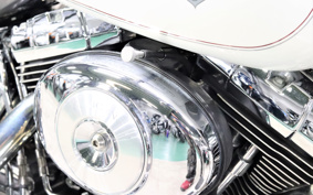HARLEY FLSTF 2001 BMY