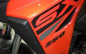 SUZUKI Vｽﾄﾛｰﾑ250SX 1995 EL11L