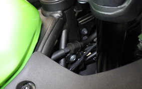 KAWASAKI ZX-25R 2015 ZX250E