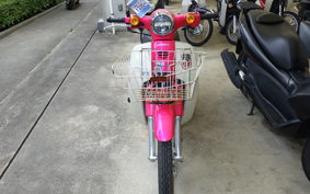 HONDA C110 SUPER CUB