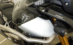 TRIUMPH TIGER 900 RALLY PRO 2025