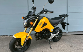 HONDA GROM JC61