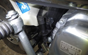 HONDA GORILLA