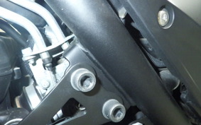 YAMAHA MT-25 2021 RG43J