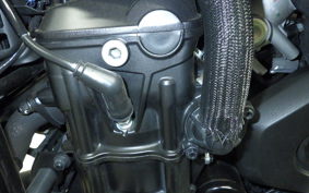 HONDA REBEL 1100 DCT 2022 SC83