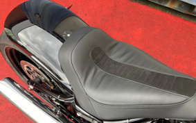 HARLEY FLFBS 2022 YGK