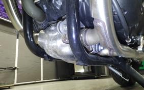 TRIUMPH BONNEVILLE T100 2024