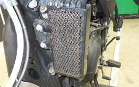 OTHER +ENFIELD ﾋﾏﾗﾔﾝ 2021