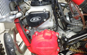 BETA クロス TRE ーナー250 2024