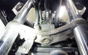 KAWASAKI NINJA 250 EX250L