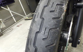 HARLEY RH975 2022
