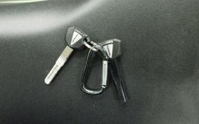 KAWASAKI ZX-4RR 2023 ZX400P