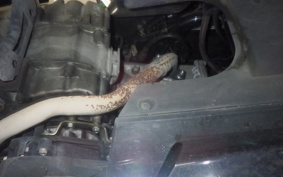 HONDA PCX125 1985 JK05