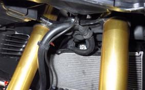 HONDA CBR250RR A 2024 MC51