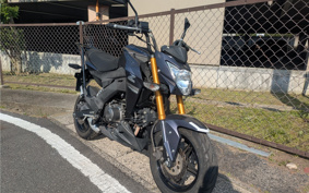 KAWASAKI Z125 PRO BR125H