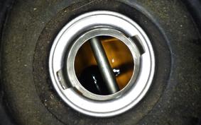 HONDA TODAY 2011 AF61