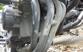HONDA HORNET 250 MC31