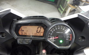 YAMAHA FZ1 FAZER 2010 RN21J