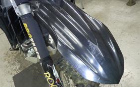 YAMAHA WR250X DG15J