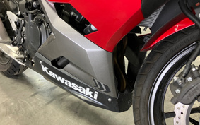 KAWASAKI NINJA 250 EX250P