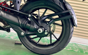 TRIUMPH TIGER 1200GTEKUSUP 2024 TAP24V