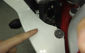 HONDA VTRF250 2019 MC33