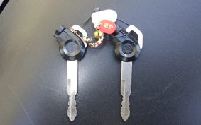 YAMAHA N-MAX 1990 SE86J