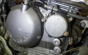 KAWASAKI SUPER SHERPA 2021 KL250G
