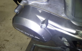 HONDA APE 50 2007 AC16