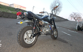 HONDA MONKEY Z50J