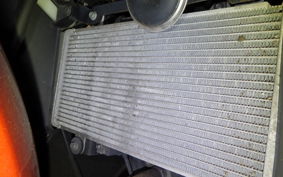 KAWASAKI NINJA 250 EX250L