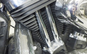 HARLEY XL1200XS 2020