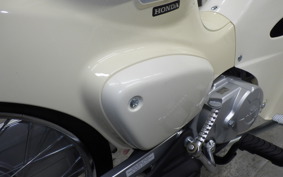 HONDA C50 SUPER CUB 2025 AA09