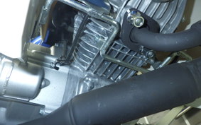 HONDA C110 SUPER CUB