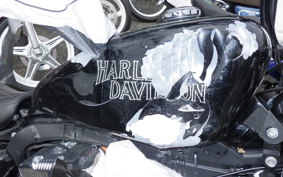 HARLEY L1200LI 2010