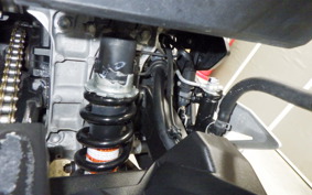 KAWASAKI NINJA 250 EX250P