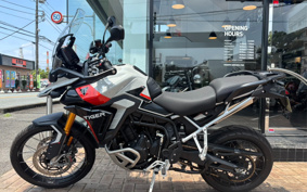 TRIUMPH TIGER 900 RALLY PRO 2025 TRC83D