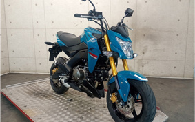 KAWASAKI Z125 PRO BR125H