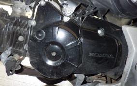 HONDA GROM 2025 JC61