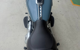 HARLEY FLFBS 2025 YGK