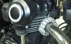 KAWASAKI W800 CAFE 2022 EJ800E
