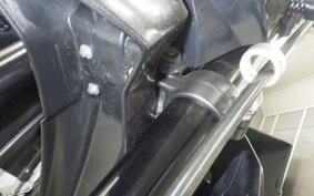 KAWASAKI KLX250D TRACKER X