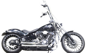 HARLEY FXSB 2015 BF5