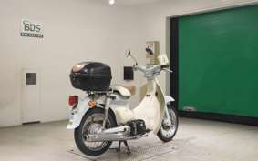 HONDA LITTLE CUB 2018 AA01