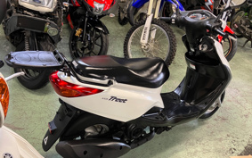 YAMAHA AKUSHI STREET SE53J