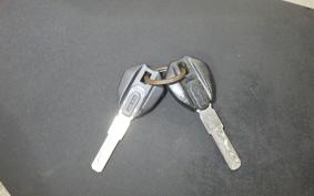 DUCATI PANIGALE V4 S 2019