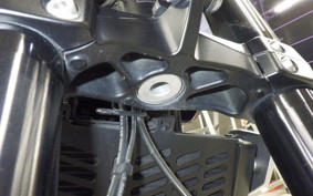 TRIUMPH TRIDENT 660 2021