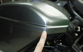 HONDA REBEL 1100 TD 2025 SC87