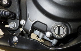 KAWASAKI NINJA 250 2024 EX250P